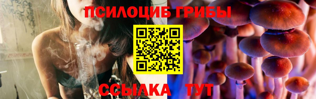 Кандалакша  дарнет шоп  Вход с VPN  Галлюциногенные грибы Psilocybine cubensis 